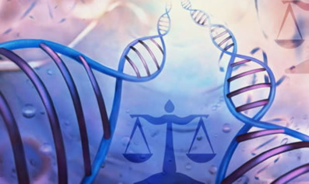 Antecedentes de los códigos, declaraciones y reglamentaciones de la bioética