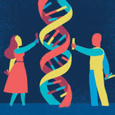 Timeline: DESARROLLO DE LA GENETICA