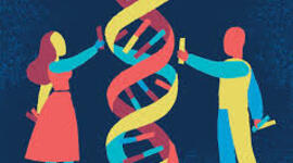 Timeline: DESARROLLO DE LA GENETICA