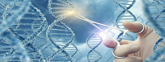 Pautas Internacionales Propuestas para la Investigación Biomédica en Seres Humanos