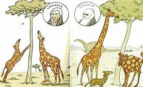Erasmus Darwin, P. J. Cabanis, y J. B. Lamarck
