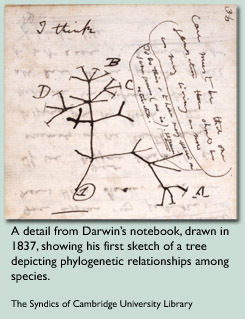 Charles Darwin First Speech to the Royal Geological Society of London and presentation to the Zoological Society of London