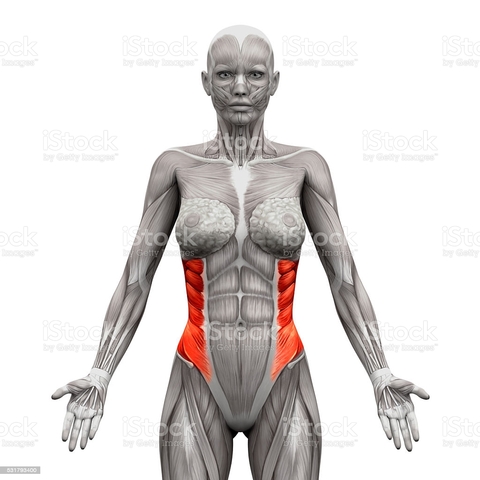 Hermann von Helmholtz