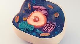 Timeline: Timeline sobre la cèl·lula