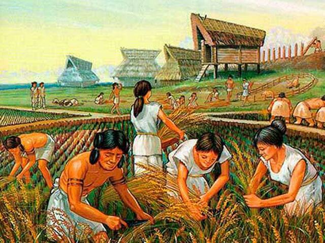 DESCOBRIMENT DE L'AGRICULTURA