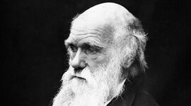 Timeline: Charles Darwin (1809-1882)