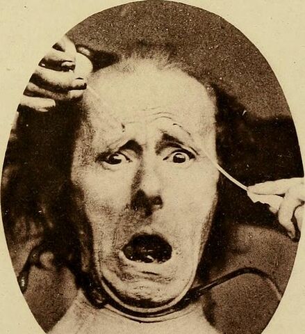 Work: The Expression of the Emotions in Man and Animals