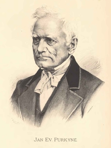 Purkyně