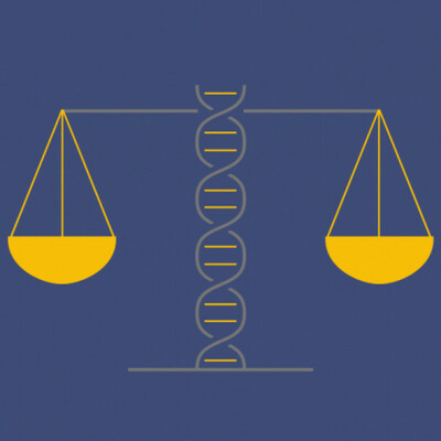 Timeline: HISTORIA DE LA BIOÉTICA