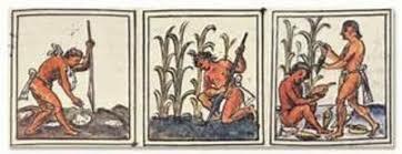 EL PERÍODO PRECLÁSICO