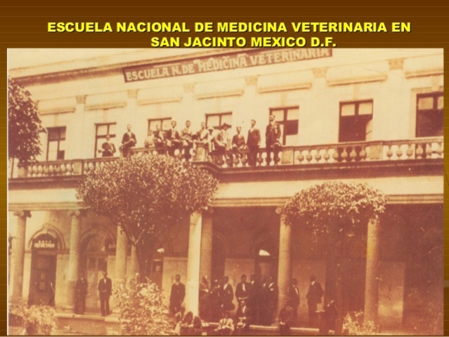 VETERINARIA EN MÉXICO
