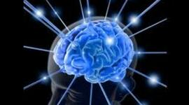 Timeline: Línea de tiempo de la Neurociencias por Audrey Yarelis Miranda Garcìa