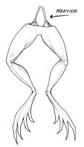 Introducción del concepto de excitabilidad eléctrica de los músculos y neuronas por Luigi galvani