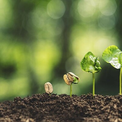 Timeline: L'évolution de la conscience sur l'environnement