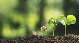 Timeline: L'évolution de la conscience sur l'environnement