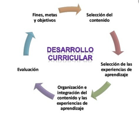 Desarrollo curricular