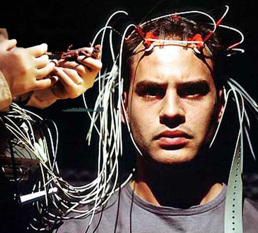 Violación a los códigos