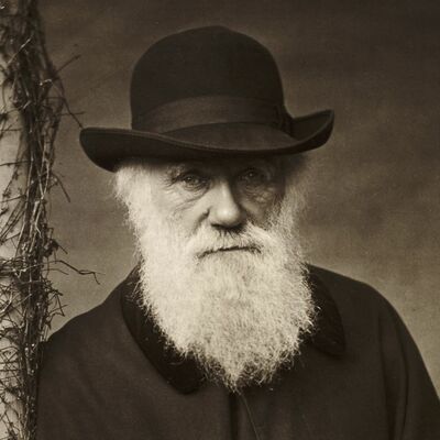 Timeline: Charles Darwin