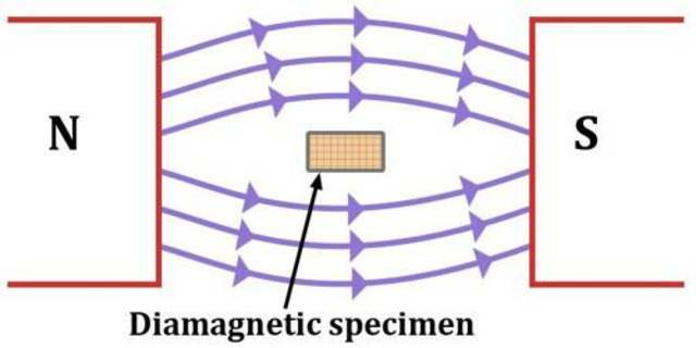 Tyndall's first statements on Di magnetism