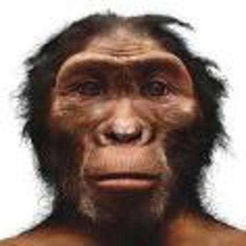 Early Humans Timeline Timetoast Timelines