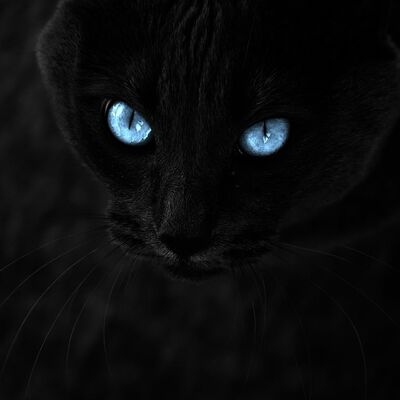 Timeline: Història del 1930 al 2020