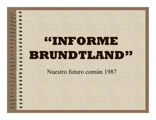 Informe Brundtland