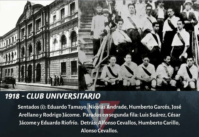 Los estudiantes Universitarios