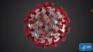 Covid-19 is a pandemic