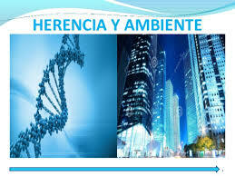 Conceptualización del desarrollo