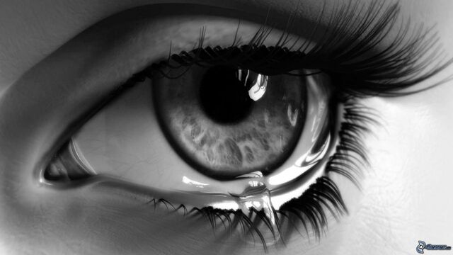 epoca renacentista 1201-1543