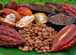 comienzos de las industrias a gran escala