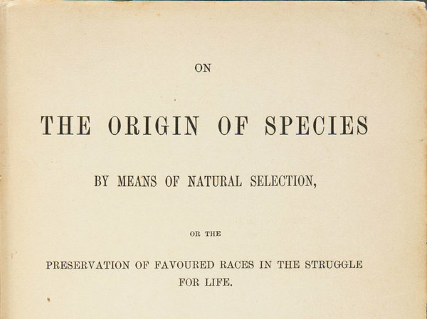 Origin of Species