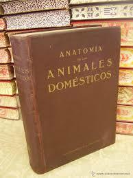 LIBRO DE ANATOMIA
