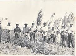 ley de la reforma agraria