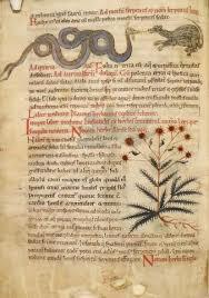 Escritos antiguos de Veterinaria