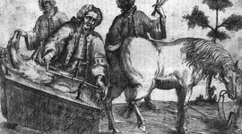 Timeline: Hechos Históricos de la Medicina Veterinaria