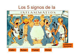 Inflamación