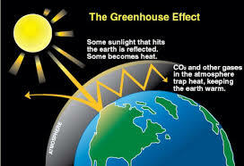 Greenhouse Effect