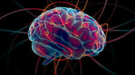 Timeline: Historia del cerebro