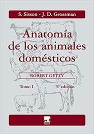 Anatomía de los Animales Dómesticos.