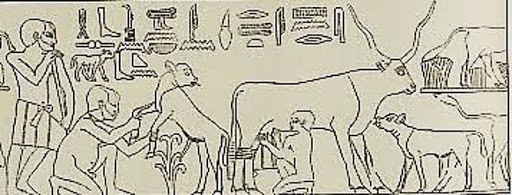 Papiro de Kahun (1850 a.C.)