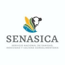 Creación del SENASICA