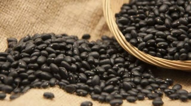 Panorama Económico de la Revolución Mexicana