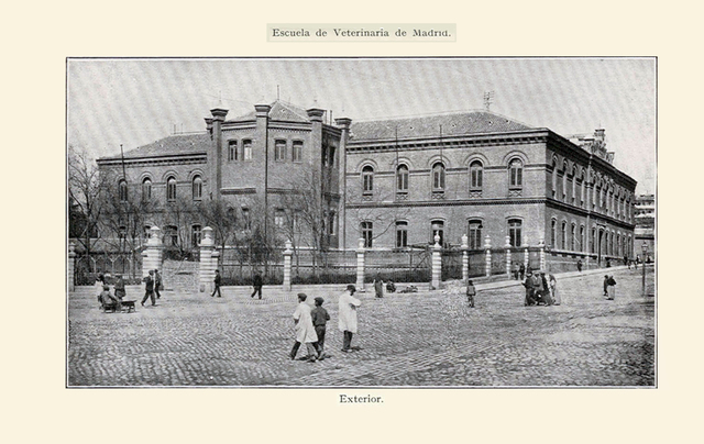 1793, Se funda escuela de Medicina Veterinaria en Madrid