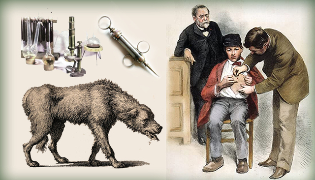 1885 Creación de la vacuna antirrábica