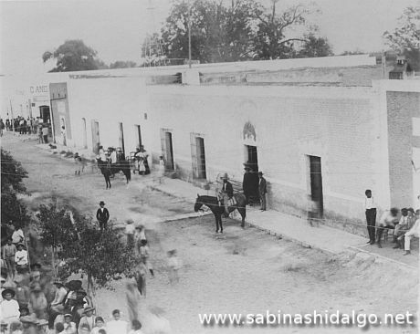 1973, Primera facultad de Medicina Veterinaria y Zootecnia de la UANL