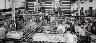 Recuperación importante en la agricultura y en la industria.