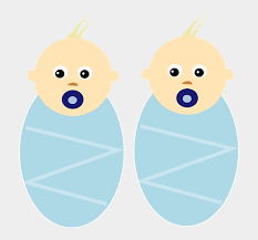 Twins were born