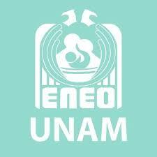 Papel de la UNAM en la formación de recursos humanos en geriatría y gerontología. Enfermería, trabajo social y geriatría
