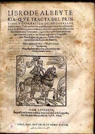 liber artis medicinae at ripoli